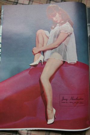 Joey Heatherton