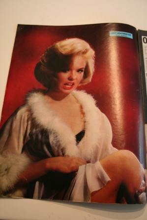 Joey Heatherton