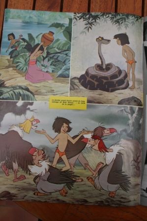 Walt Disney Jungle Book