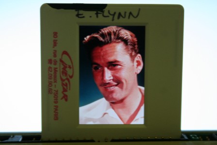 Errol Flynn Portrait