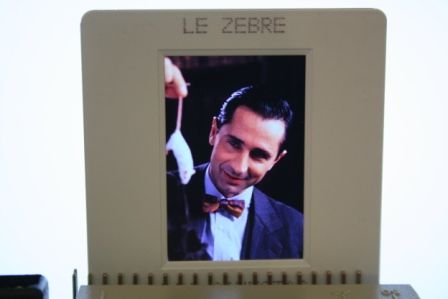 Thierry Lhermitte Le zebre