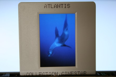 Atlantis Luc Besson