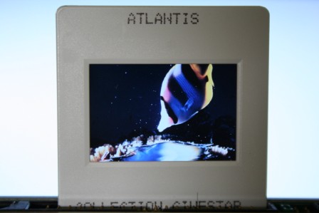 Atlantis Luc Besson