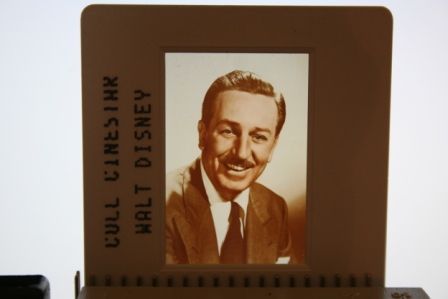 Walt Disney Candid Photo