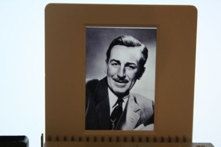 Walt Disney Candid Photo