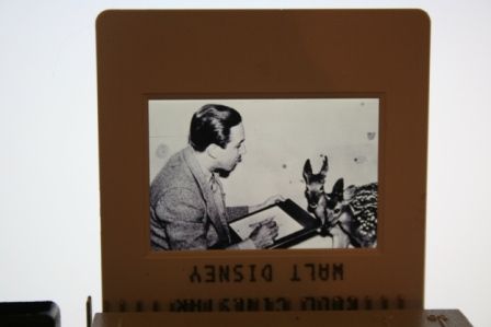 Walt Disney Bambi Candid Photo