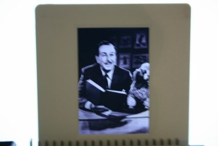 Walt Disney Candid Photo