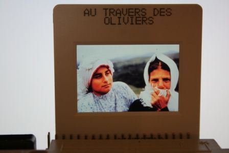 Au travers des oliviers Abbas Kiarostami