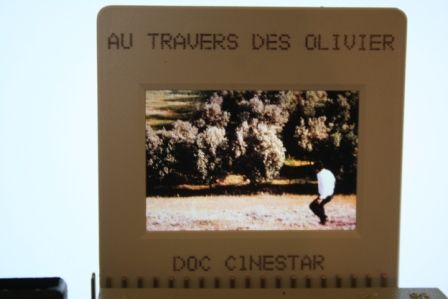 Au travers des oliviers Abbas Kiarostami