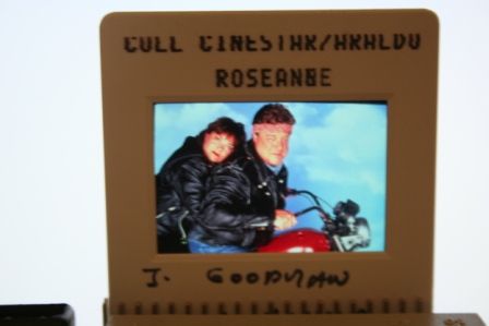 Roseanne John Goodman TV Serie