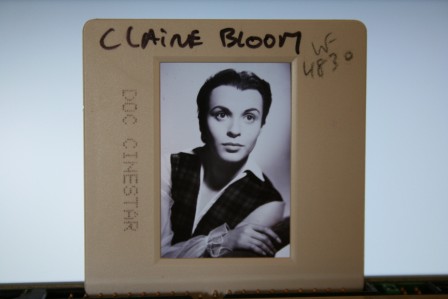 Claire Bloom