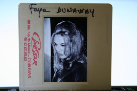 Faye Dunaway Portrait