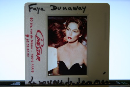 Faye Dunaway Portrait