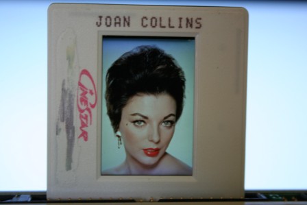 Joan Collins Portrait