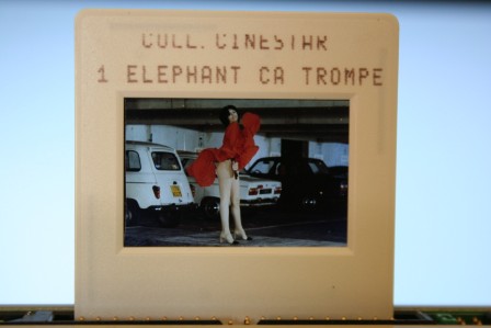 Anny Duperey Un Elephant Ca Trompe