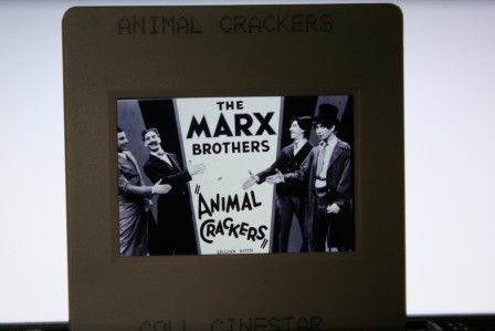 Marx Brothers Animal Crackers