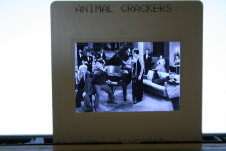 Marx Brothers Animal Crackers
