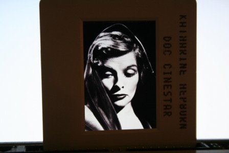 Katharine Hepburn Pose Photo