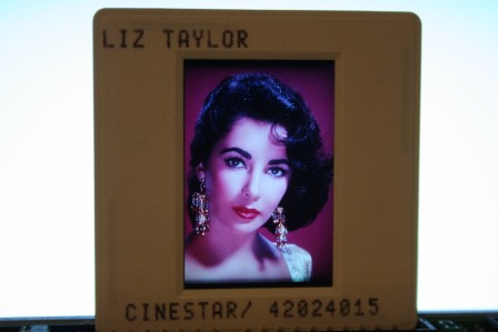 Elizabeth Taylor Pose Photo