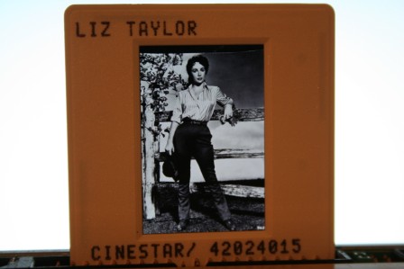 Elizabeth Taylor Pose Photo