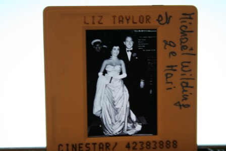 Elizabeth Taylor Michael Wilding Candid Photo