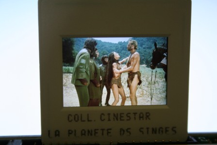 Planet Of The Apes Charlton Heston