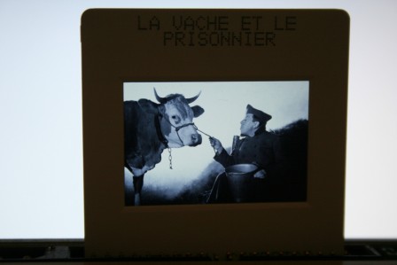 Fernandel La Vache Et le Prisonnier