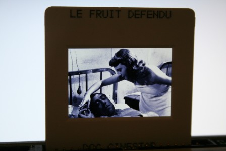 Fernandel Le Fruit Defendu