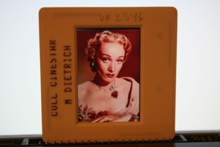 Marlene Dietrich Color Portrait