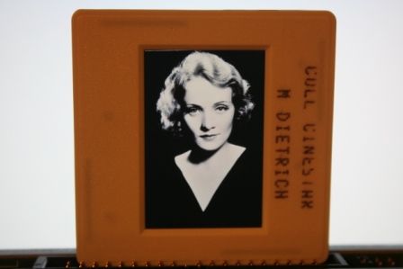 Marlene Dietrich Portrait