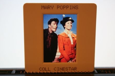 Julie Andrews Dick Van Dyke Mary Poppins