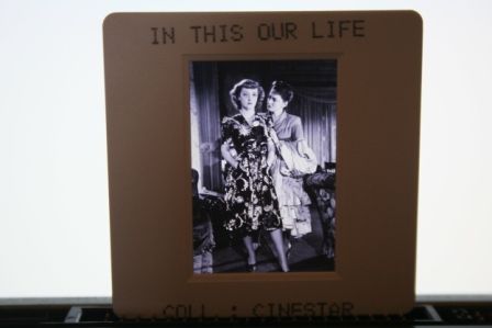 Bette Davis Olivia de Havilland In This Our Life