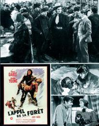 Movie Card Collection Monsieur Cinema: Call Of The Wild (The)