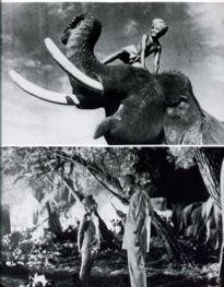 Movie Card Collection Monsieur Cinema: Elephant Boy
