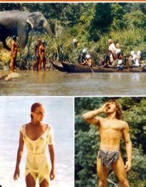 Movie Card Collection Monsieur Cinema: Tarzan The Ape Man - (John Derek)