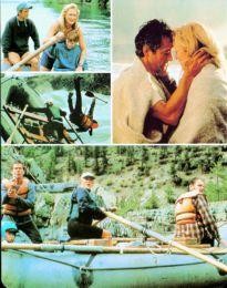 Movie Card Collection Monsieur Cinema: River Wild (The)