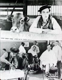 Movie Card Collection Monsieur Cinema: Go West - (Buster Keaton)