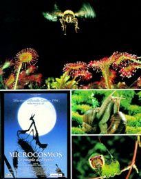 Movie Card Collection Monsieur Cinema: Microcosmos - Le Peuple De L'Ombre