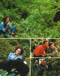 Movie Card Collection Monsieur Cinema: Gorillas In The Mist