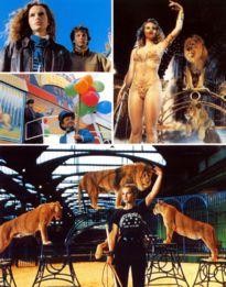 Movie Card Collection Monsieur Cinema: Roselyne Et Les Lions