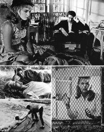 Movie Card Collection Monsieur Cinema: Lilith