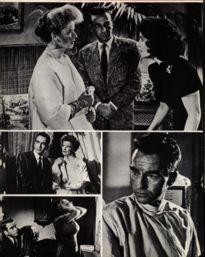 Movie Card Collection Monsieur Cinema: Suddenly Last Summer