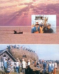 Movie Card Collection Monsieur Cinema: Faro-Dokument (1979)