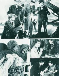 Movie Card Collection Monsieur Cinema: Wolf Man (The)