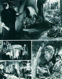 Movie Card Collection Monsieur Cinema: Frankenstein Meets The Wolf Man