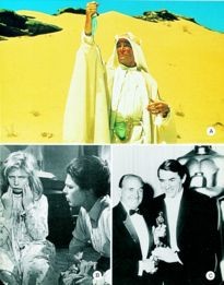 Movie Card Collection Monsieur Cinema: Oscars 1962 (Les) (35E Annee)