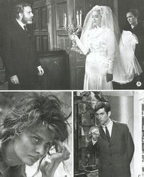 Movie Card Collection Monsieur Cinema: Festival De Cannes (1961)