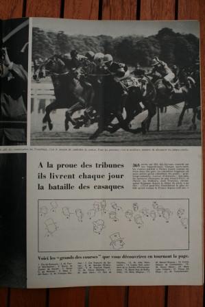 Tierce- Horse Course