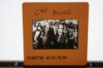 Vintage Slide Errol Flynn Captain Blood