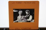 Slide Humphrey Bogart Leslie Howard Petrified Forest